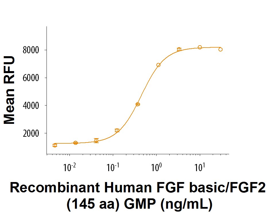 Recombinant Human FGF basic/FGF2 (145 aa) GMP Protein Bioactivity
