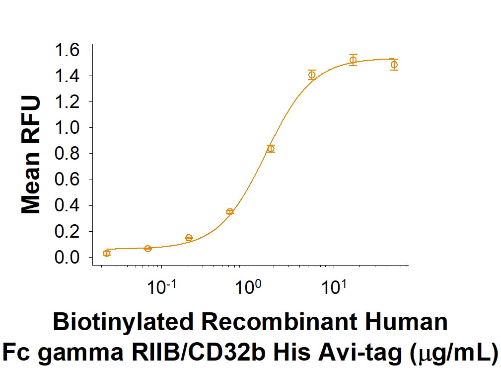 Recombinant Human Fc gamma RIIB/CD32b Avi-tag Protein Binding Activity