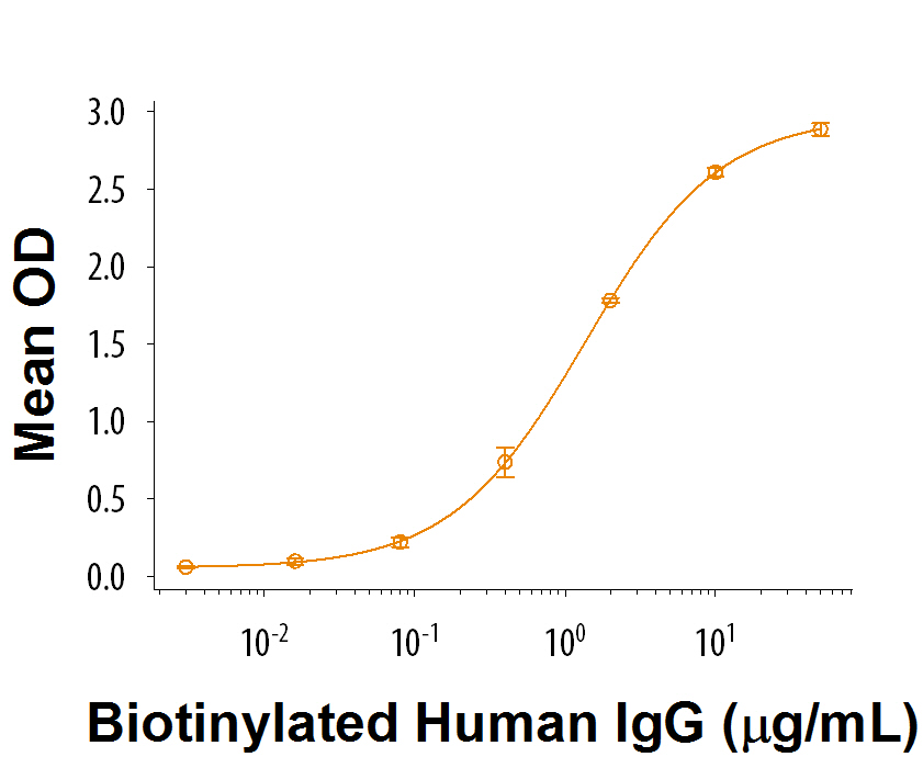 Recombinant Cynomolgus Monkey Fc gamma RIIB Protein Bioactivity