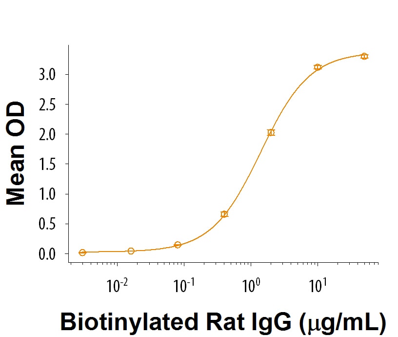 Recombinant Rat Fc gamma RIIB/CD32b Protein Bioactivity