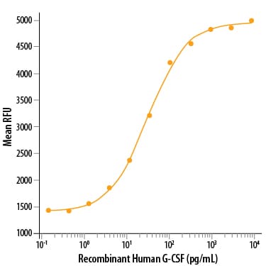 Recombinant Human G-CSF Protein Bioactivity