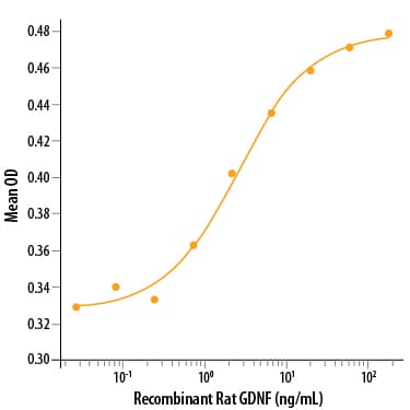 Recombinant Rat GDNF Protein Bioactivity