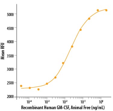 Recombinant Human GM-CSF, Animal-Free Protein Bioactivity
