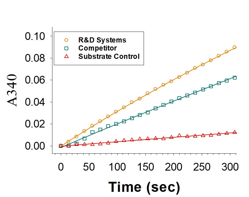 Recombinant Human Glutaminase His-tag Protein Enzyme Activity