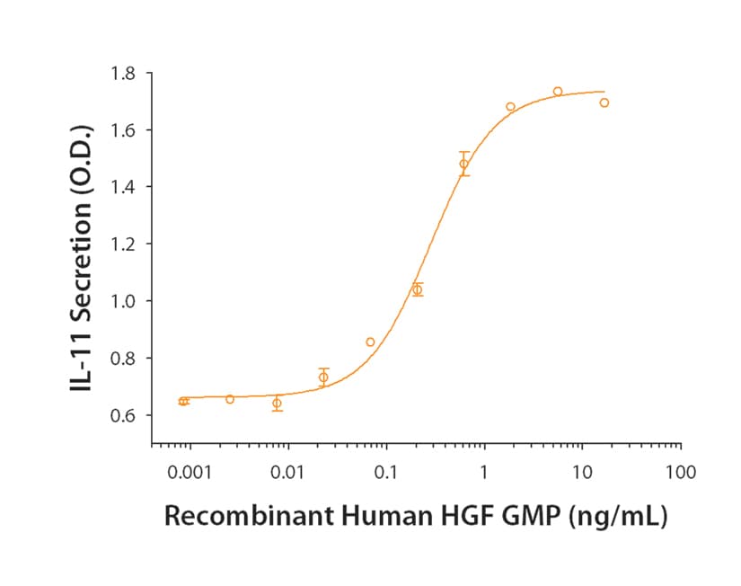 Recombinant Human HGF (NS0-expressed) GMP Protein Bioactivity