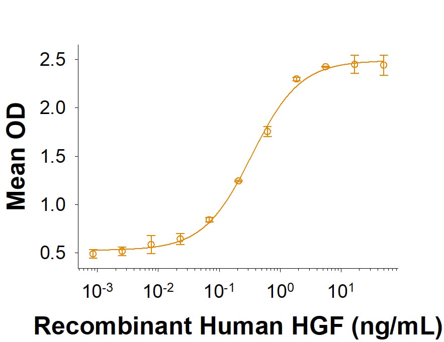 Recombinant Human HGF Protein Bioactivity
