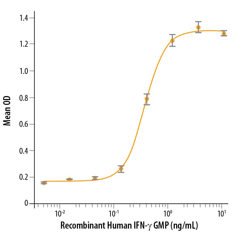 Recombinant Human IFN-gamma GMP Protein Bioactivity