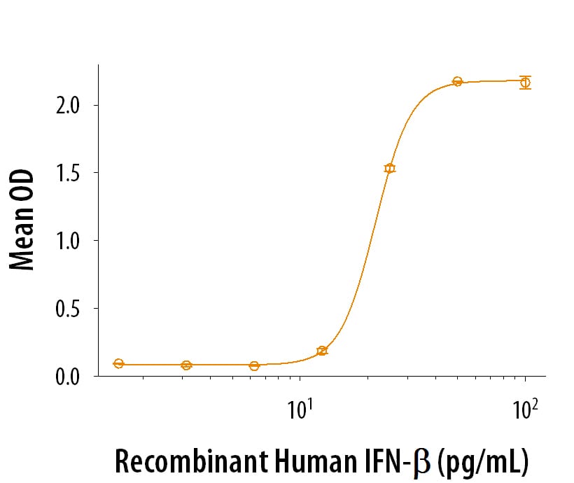 Recombinant Human IFN-beta Protein Binding Activity