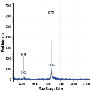 Recombinant Human IL-15 GMP Protein Mass Spectrometry
