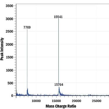 Recombinant Human IL-2 GMP Protein Mass Spectrometry