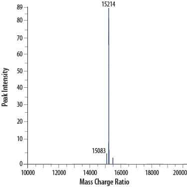 Recombinant Human IL-3 GMP Protein Mass Spectrometry