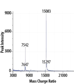Recombinant Human IL-4 GMP Protein Mass Spectrometry
