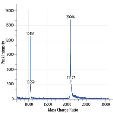 Recombinant Human IL-6 GMP Protein Mass Spectrometry