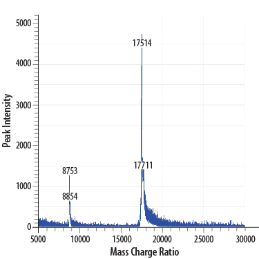 Recombinant Human IL-7 GMP Protein Mass Spectrometry