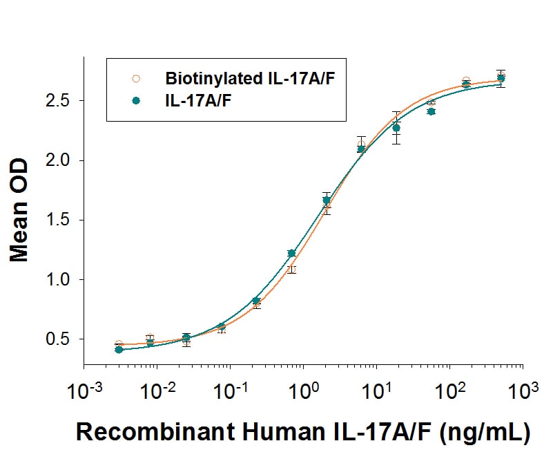 Recombinant Human IL-17A/F Heterodimer Biotinylated Protein Bioactivity