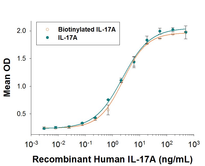 Recombinant Human IL-17A, Biotinylated Protein Bioactivity