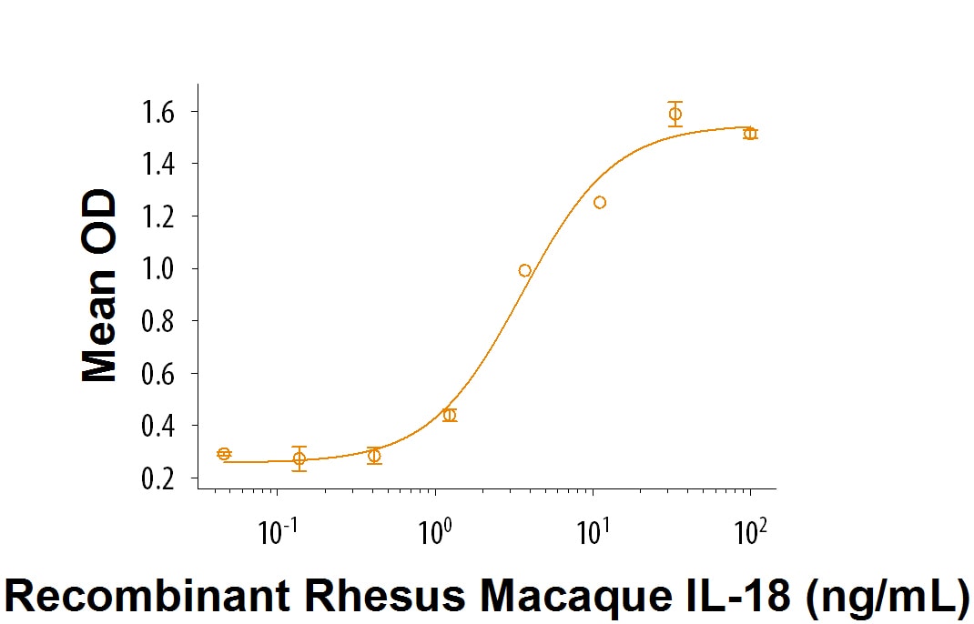Recombinant Rhesus Macaque IL-18/IL-1F4 Protein Bioactivity