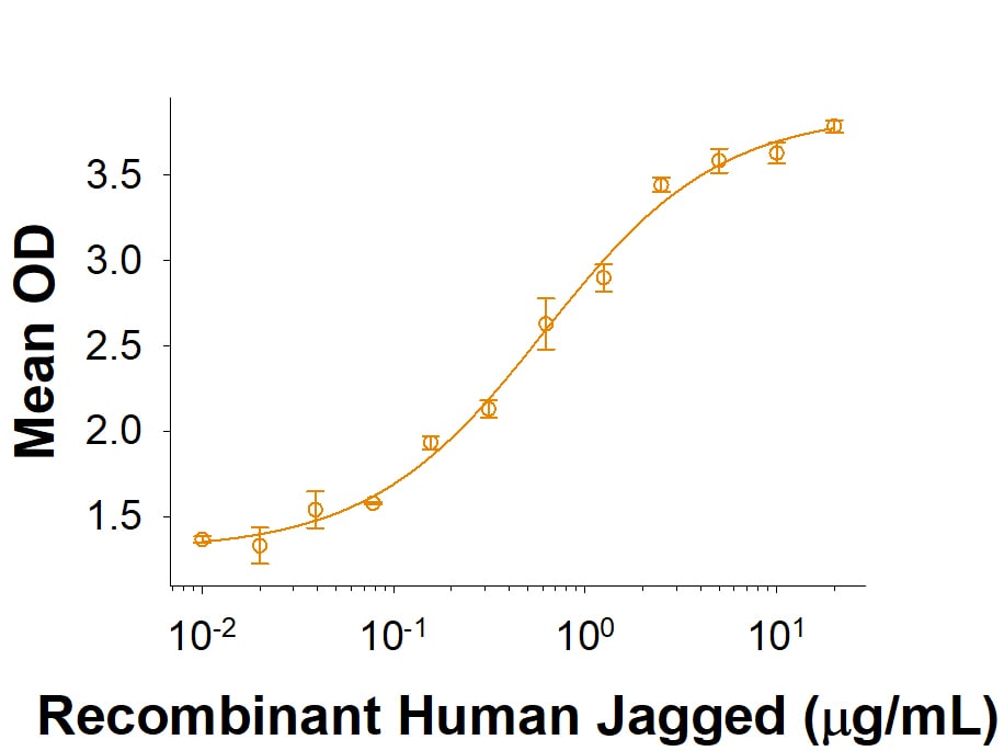 Recombinant Human Jagged 1 N-Terminal Fc Chimera Protein Bioactivity