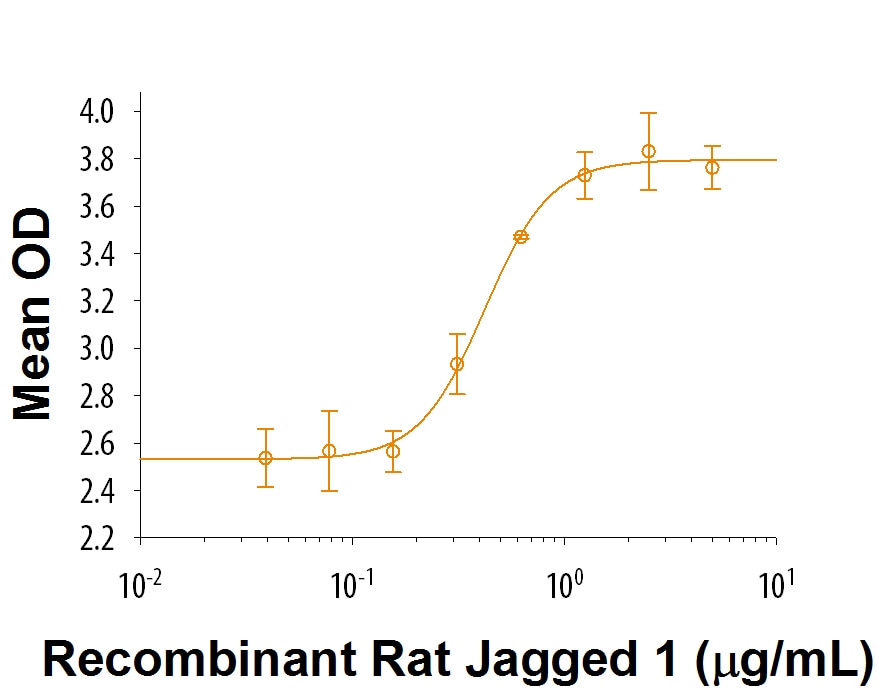 Recombinant Rat Jagged 1 His Tagged Protein Bioactivity