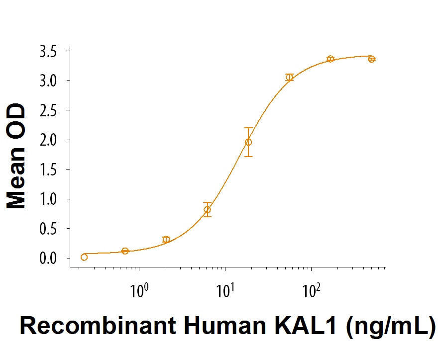 Recombinant Human KAL1 Protein Bioactivity