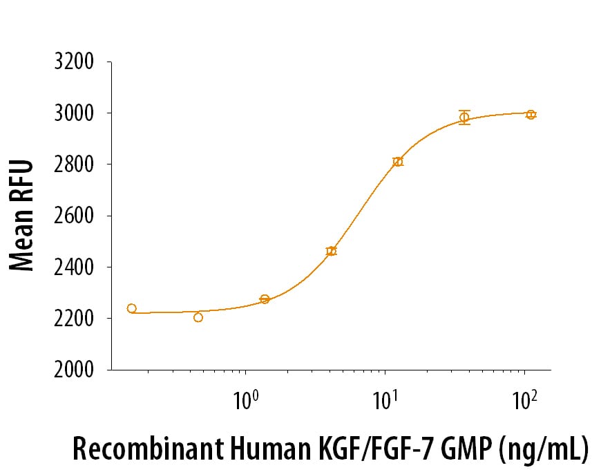 Recombinant Human KGF/FGF-7 GMP Protein Bioactivity