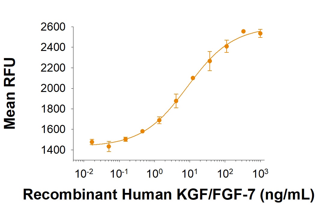 Recombinant Human KGF/FGF-7 Protein Bioactivity