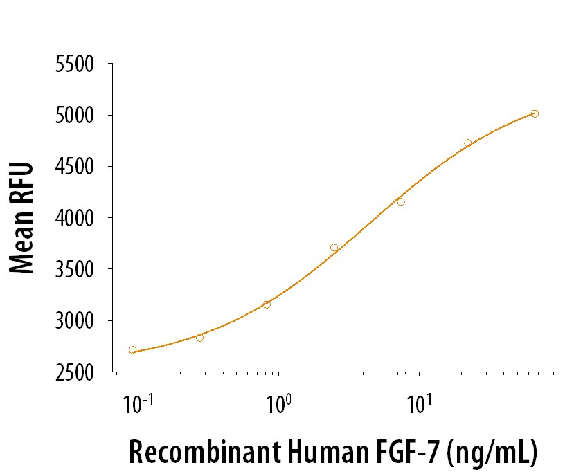 ProDots Recombinant Human KGF/FGF-7 Protein Bioactivity