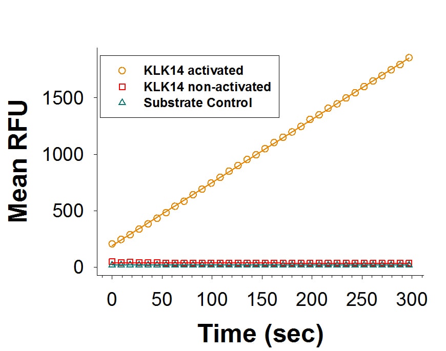 Recombinant Human Kallikrein 14 Protein Enzyme Activity