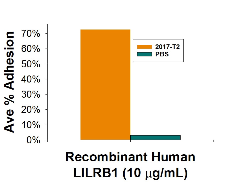 Recombinant Human LILRB1/CD85j/ILT2 Fc Chimera Protein Binding Activity