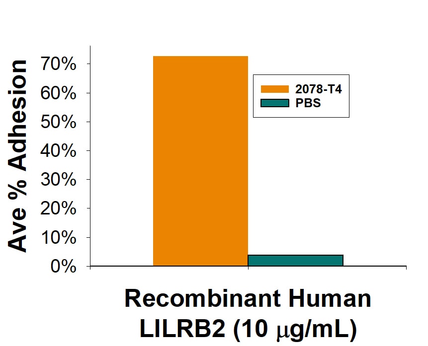 Recombinant Human LILRB2/CD85d/ILT4 Fc Chimera Protein Binding Activity