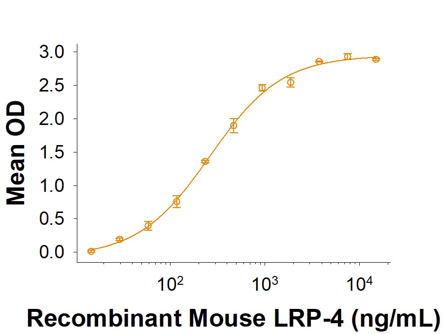 Recombinant Mouse LRP-4 His-tag Protein Binding Activity