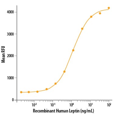 Recombinant Human Leptin Protein Bioactivity