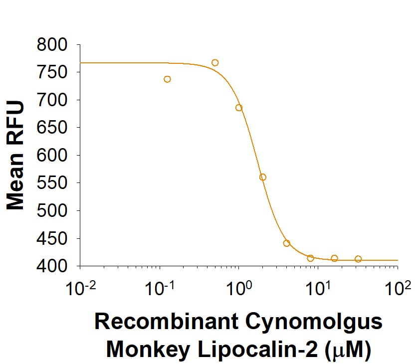 Recombinant Cynomolgus Lipocalin-2/NGAL His-tag Protein Binding Activity