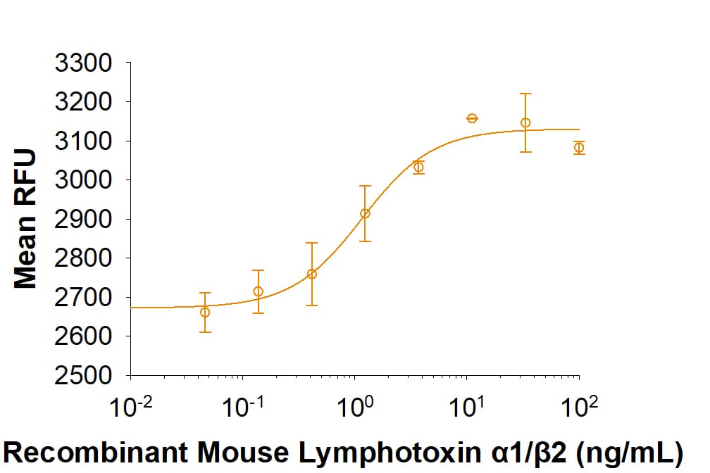 Recombinant Mouse Lymphotoxin alpha1/beta2 Protein Bioactivity