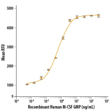 Recombinant Human M-CSF GMP Protein Bioactivity