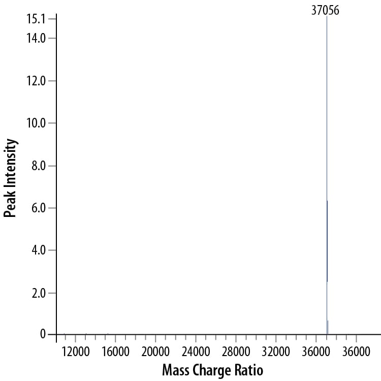 Recombinant Human M-CSF GMP Protein Mass Spectrometry