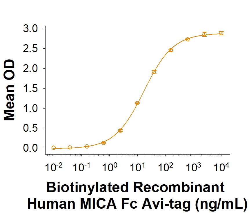 Recombinant Human MICA Fc Chimera Avi-tag Protein Binding Activity