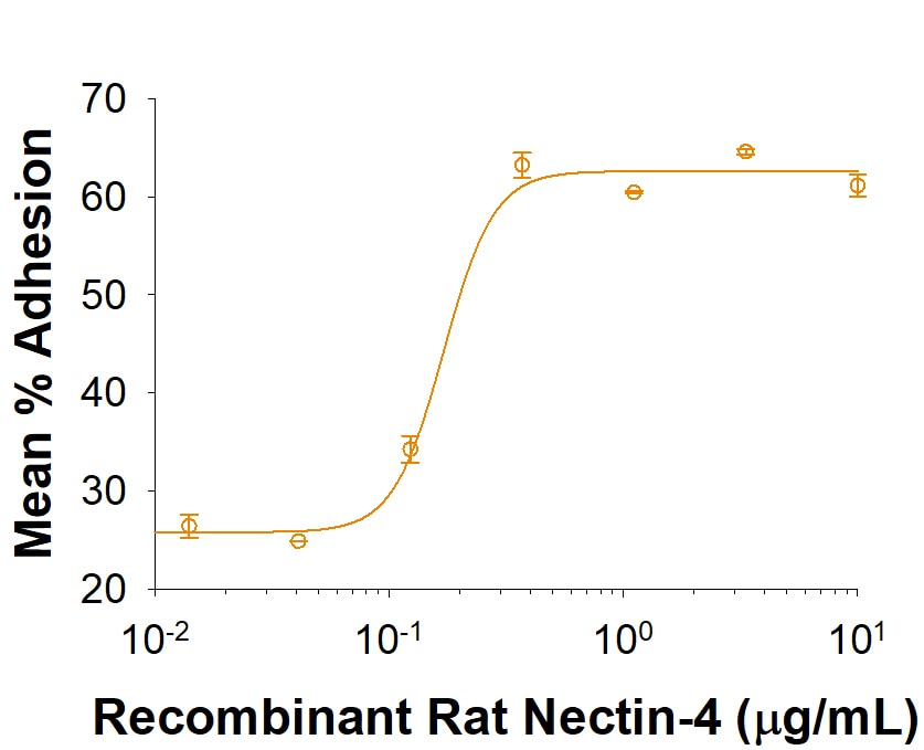 Recombinant Rat Nectin-4 His-tag Protein Bioactivity