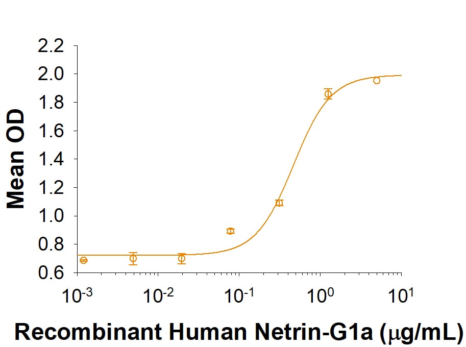 Recombinant Human Netrin-G1a His-tag Protein Binding Activity