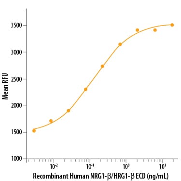 Recombinant Human NRG1-beta 1/HRG1-beta 1 ECD Protein Bioactivity