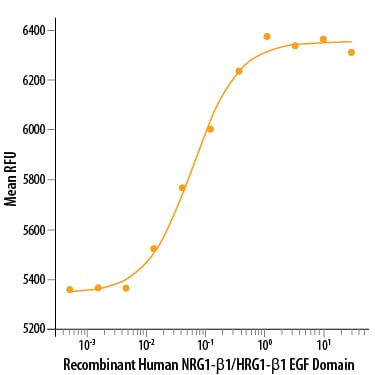 Recombinant Human NRG1-beta 1/HRG1-beta 1 EGF Domain Protein Bioactivity