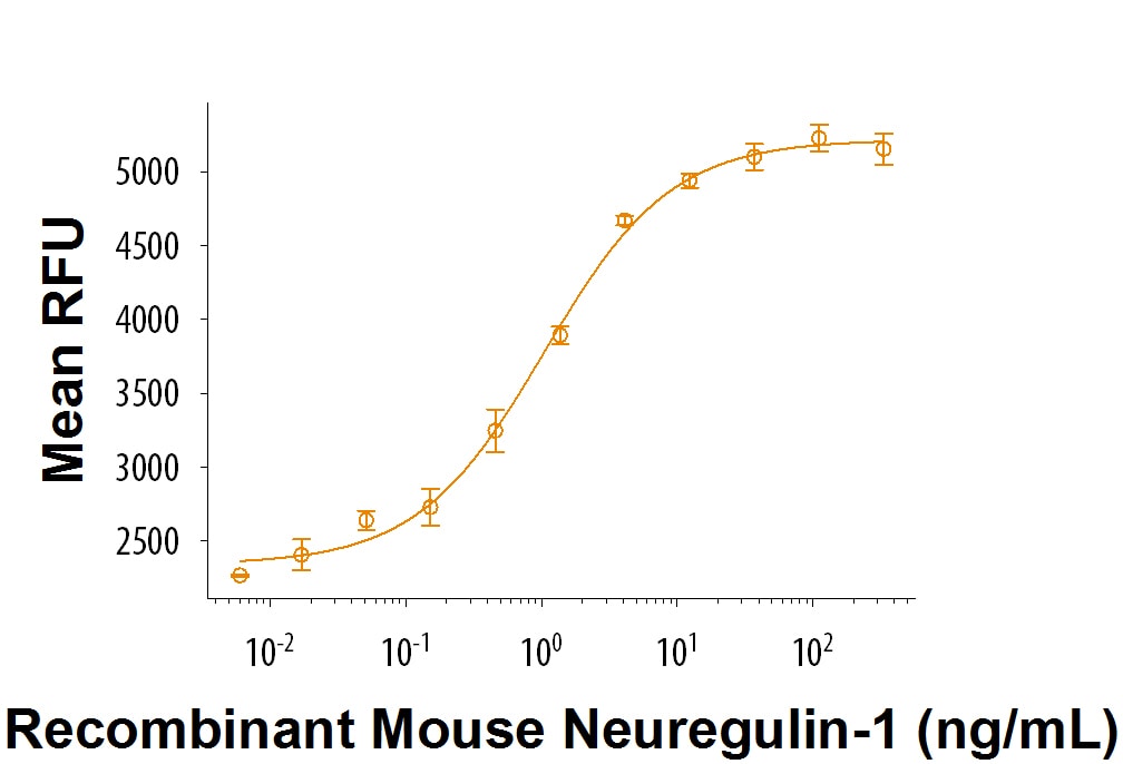 Recombinant Mouse Neuregulin-1/NRG1 Protein Bioactivity