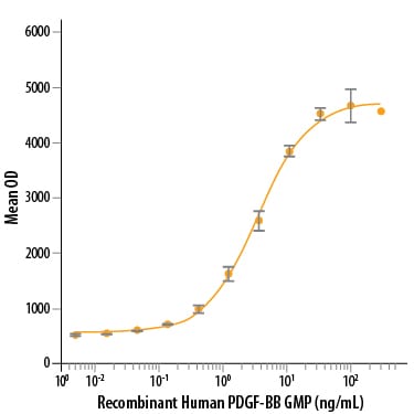Recombinant Human PDGF-BB GMP Protein Bioactivity