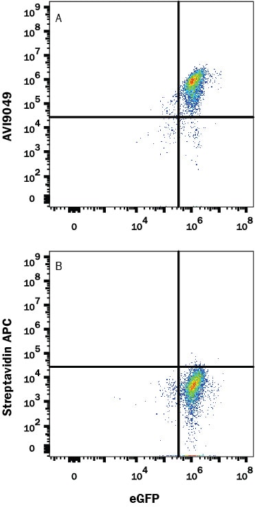 Recombinant Human PD-L1/B7-H1 His-tag Avi-tag Protein Flow Cytometry