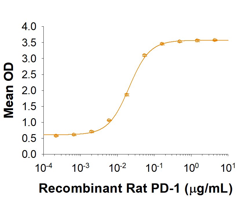 Recombinant Rat PD-L2/B7-DC Fc Chimera Protein Binding Activity