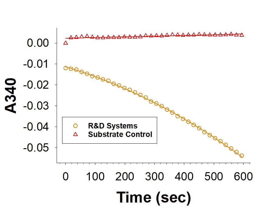 Recombinant Human PSAT1 His-tag Protein Enzyme Activity