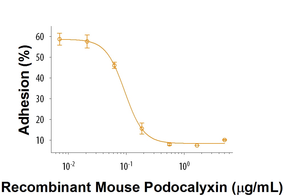 Recombinant Mouse Podocalyxin Protein Bioactivity