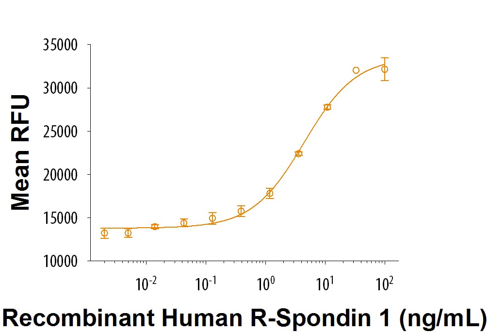ProDots Recombinant Human R-Spondin 1 Protein Bioactivity