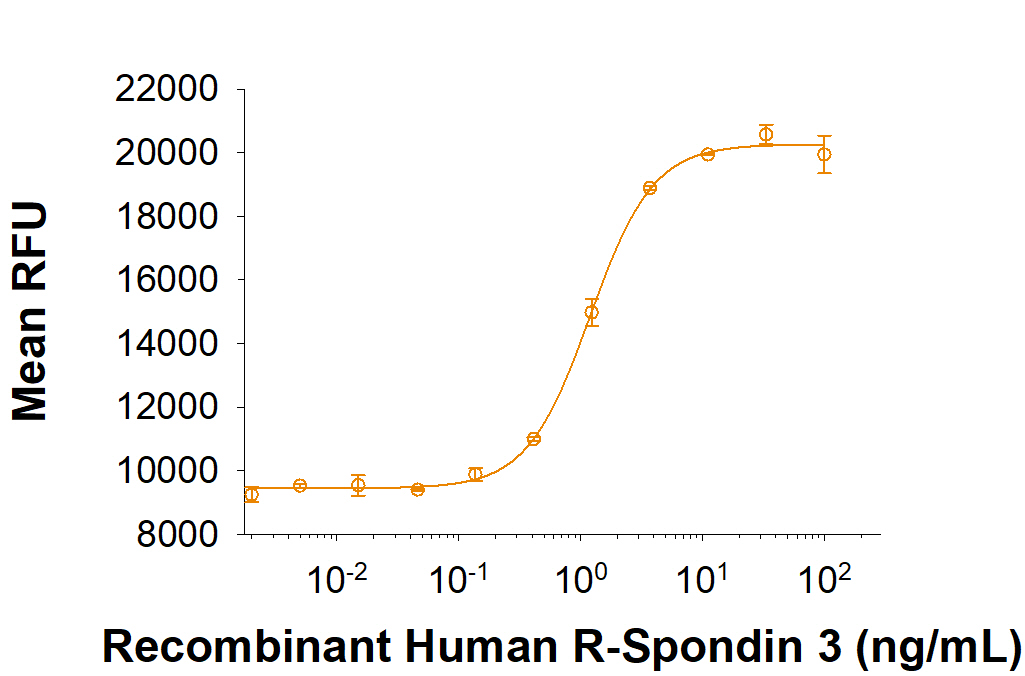 Recombinant Human R-Spondin 3 Protein Bioactivity