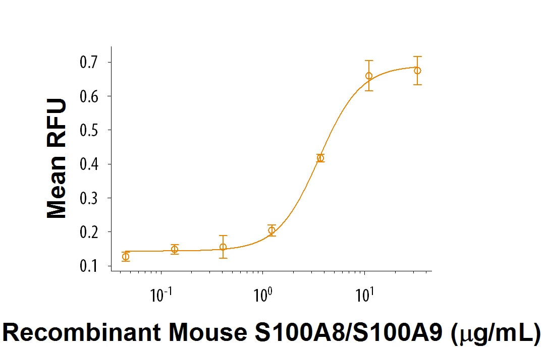 Recombinant Mouse S100A8/S100A9 Heterodimer Protein Bioactivity